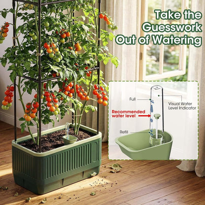 2 Pack 51" Self Watering Planter Box with Trellis, Tomato Planter Trellis for Raised Garden Bed, Tomato Cage with Visual Water Indicator, Indoor Outdoor Tomato Cages for Garden Patio