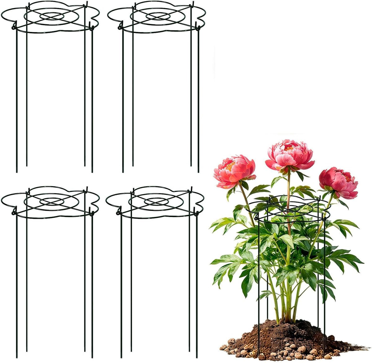 Peony Cages and Supports 4 Pack, 13" Dx24 H Grow Through Plant Supports, Heavy Duty Metal Plant Support Cage for Outdoor Flowers, Tomatoes, Hydrangeas, Cucumbers & Strawberries