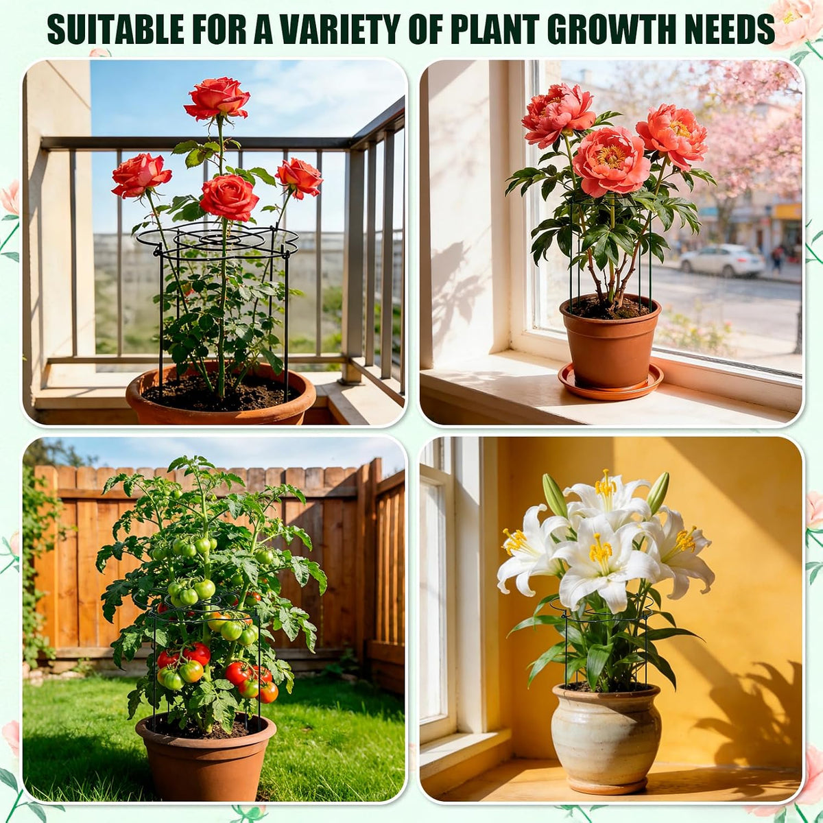 Peony Cages and Supports 4 Pack, 13" Dx24 H Grow Through Plant Supports, Heavy Duty Metal Plant Support Cage for Outdoor Flowers, Tomatoes, Hydrangeas, Cucumbers & Strawberries