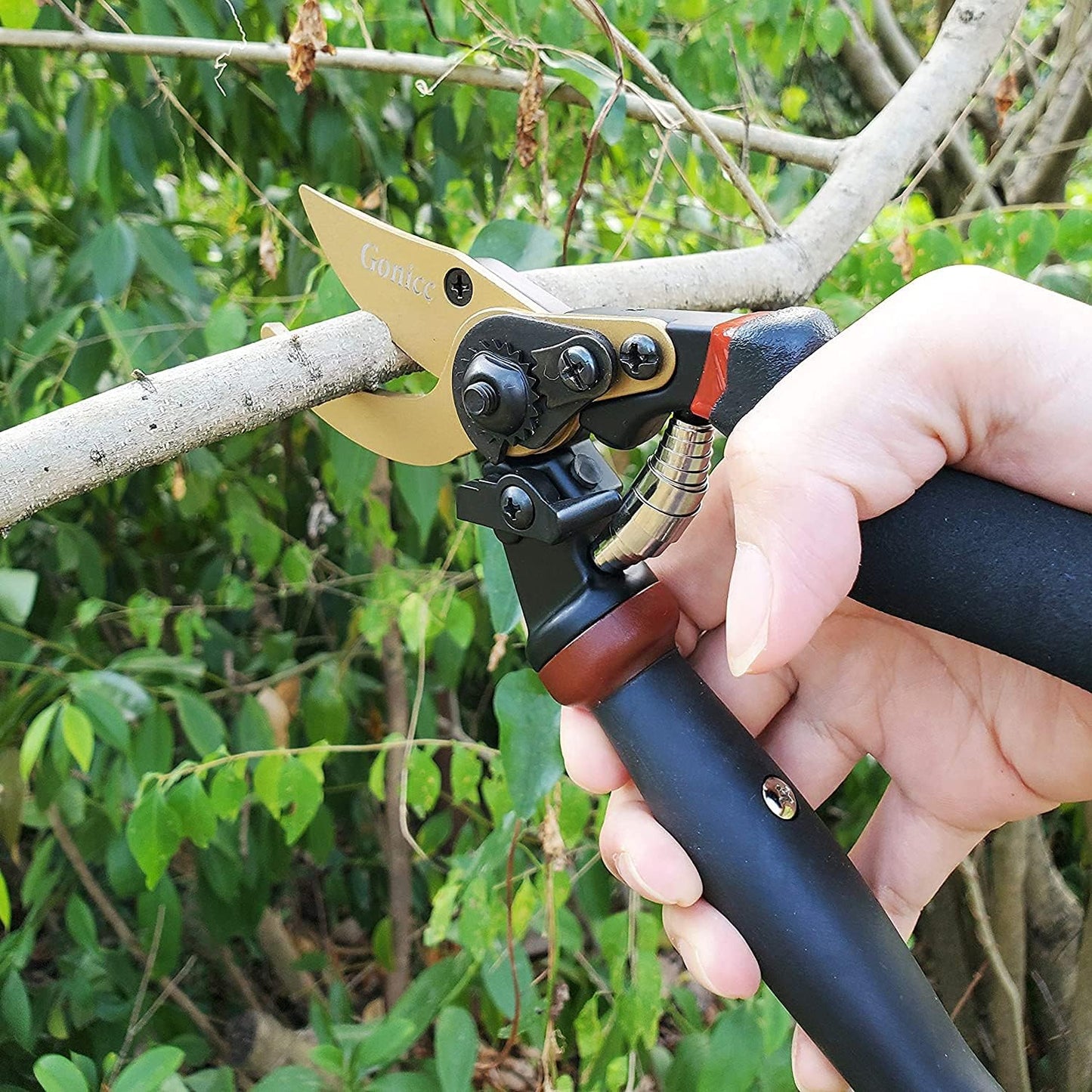 8" Professional Premium Bypass Titanium Pruning Shears(GPPS-1003)