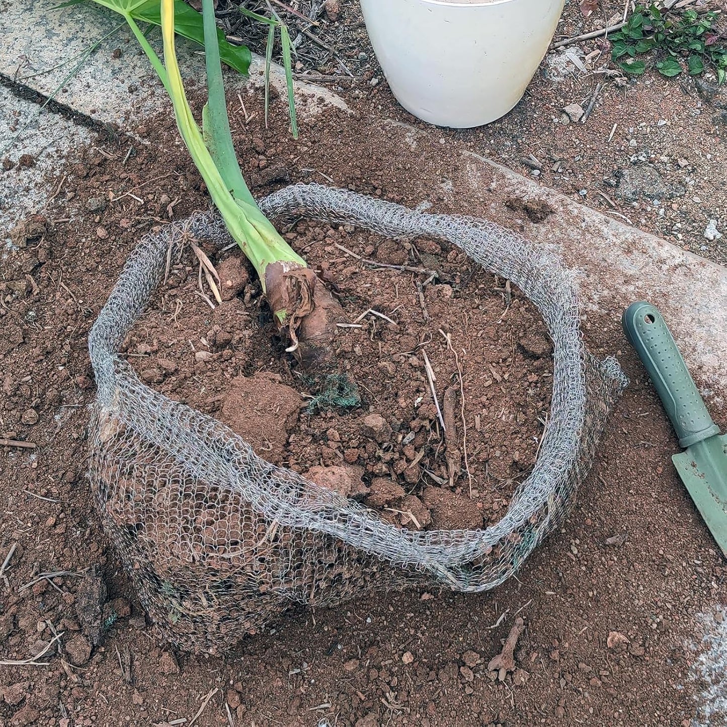 4Pack 15 Gallon Root Guard Gopher Baskets for Plants