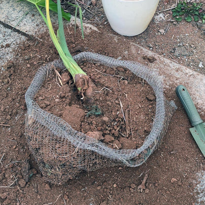 4Pack 15 Gallon Root Guard Gopher Baskets for Plants