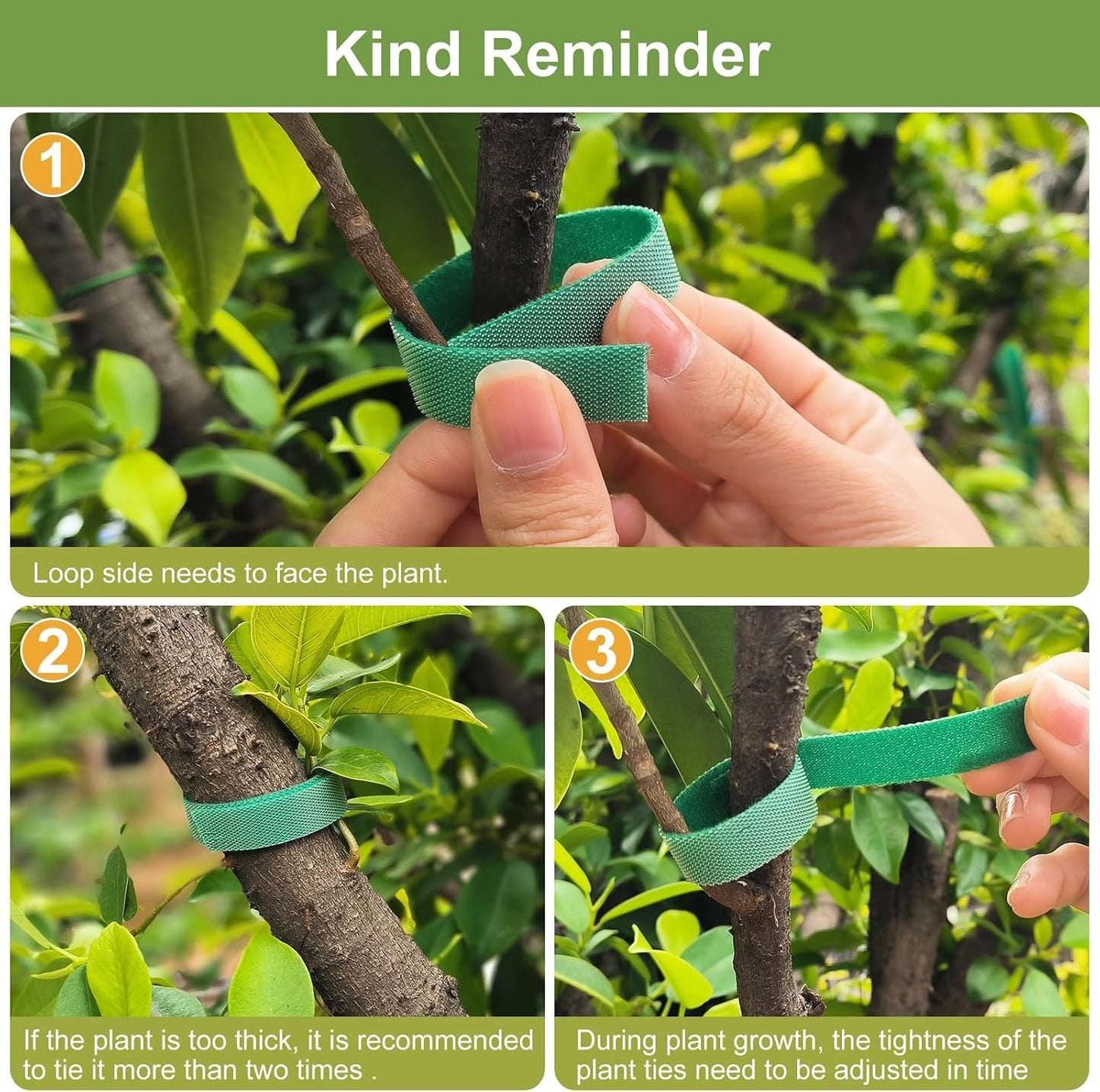 Plant Tape 75 ft Plant Ties for Climbing Plants Garden Twist Ties Plants Adjustable Green Garden Tape for Plants, Flowers, Vines and Tree (75 ft x 1/2 in)