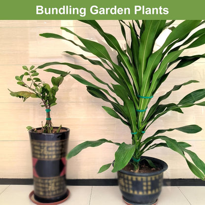Plant Tape 75 ft Plant Ties for Climbing Plants Garden Twist Ties Plants Adjustable Green Garden Tape for Plants, Flowers, Vines and Tree (75 ft x 1/2 in)