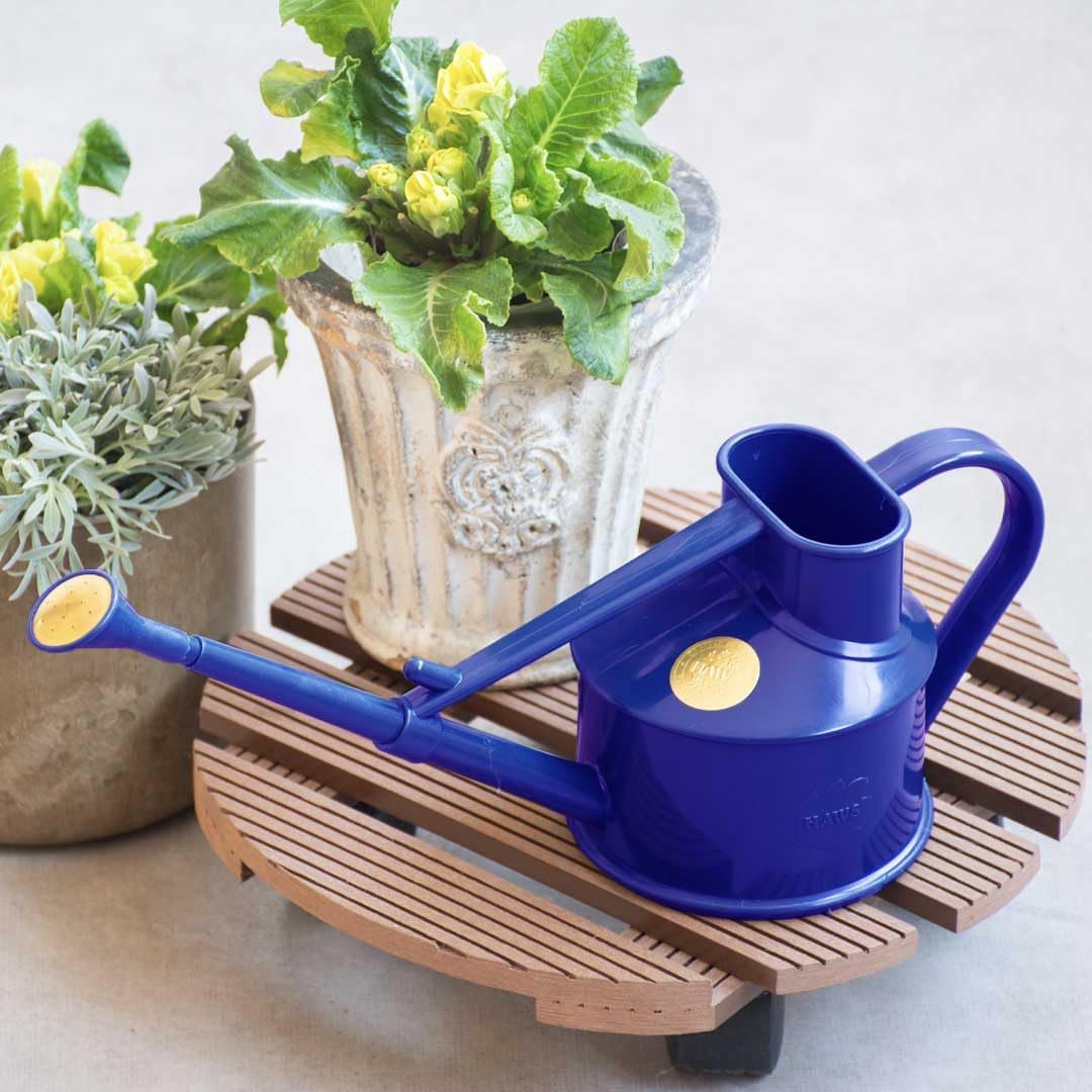Indoor Plastic Watering Can | The HAWS Langley Sprinkler - One Pint | Pot Waterer | Fine Spray Rose | Recycled - Black