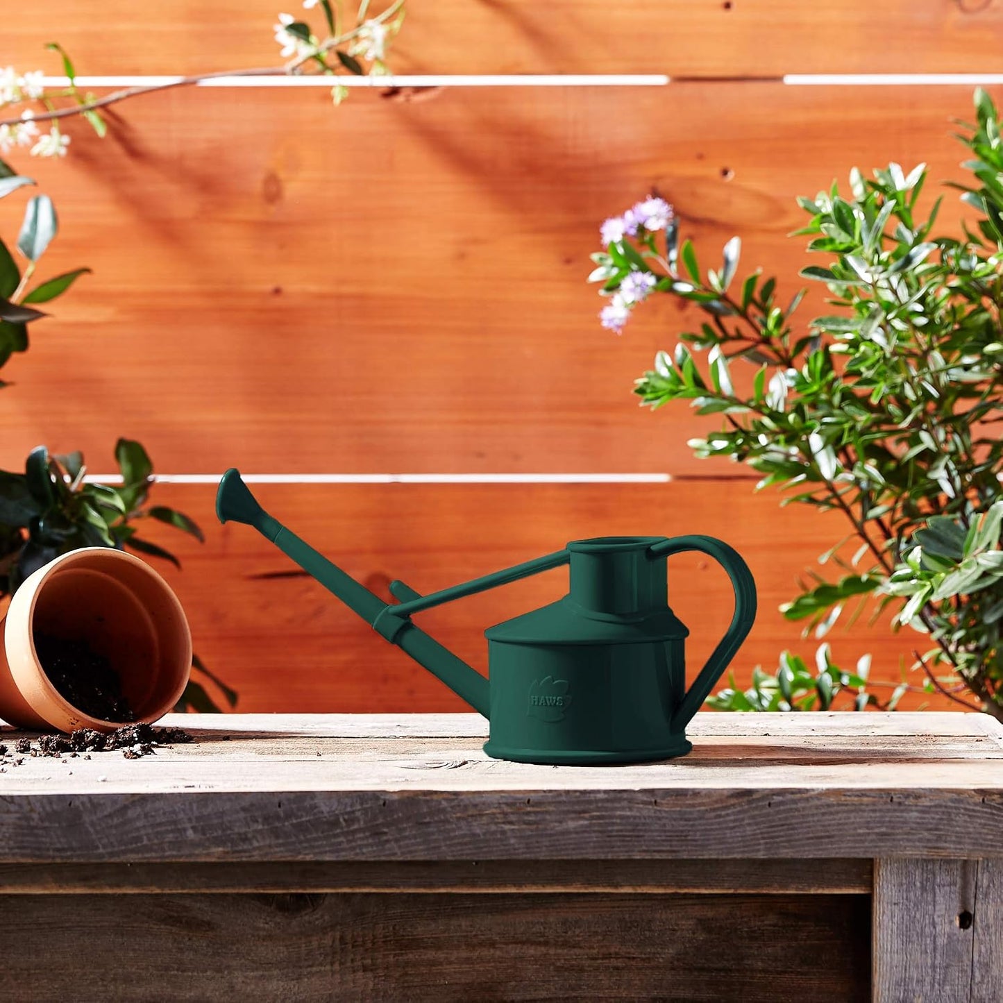 Indoor Plastic Watering Can | The HAWS Langley Sprinkler - One Pint | Pot Waterer | Fine Spray Rose | Recycled - Black