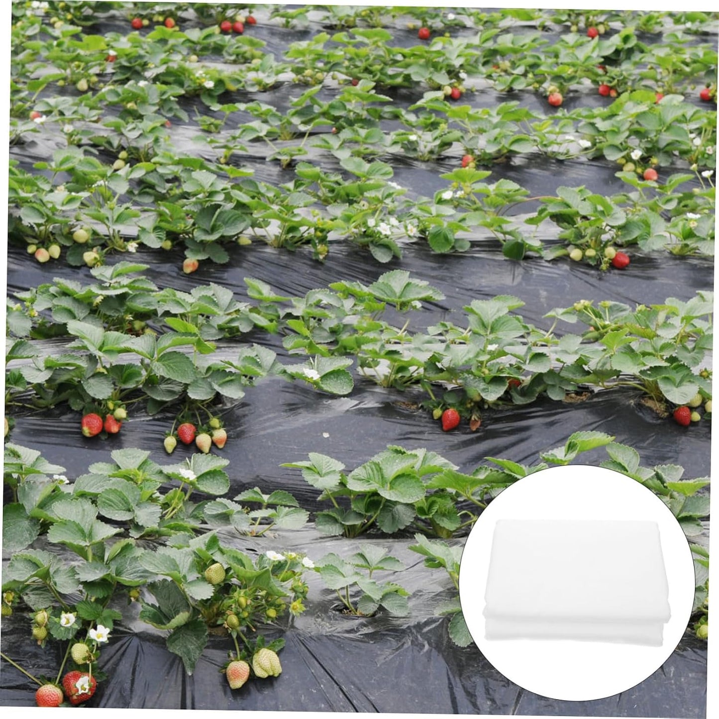 Floating Row Cover Plant Frost Blanket Cold Weather Insulation Nonwoven Plant Cover Winter Protection