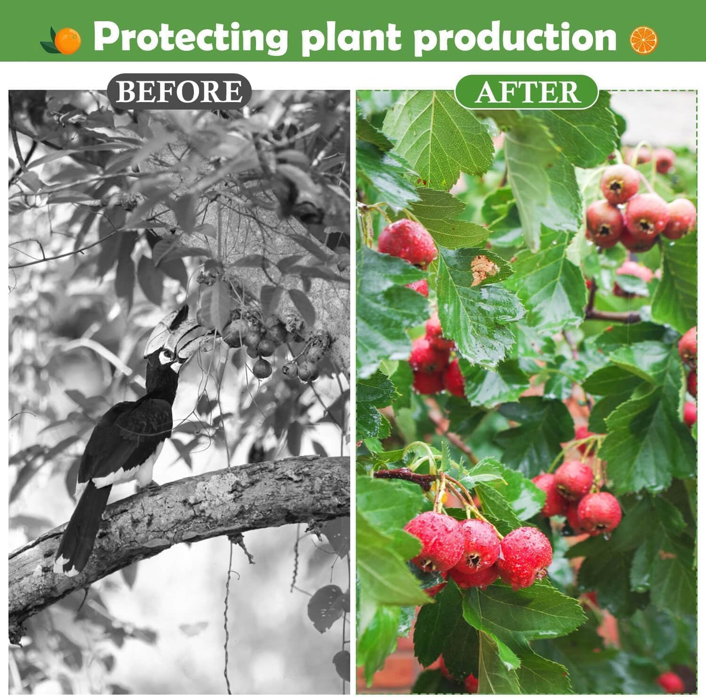 4PCS Fruits Tree Netting, 7.5 x 5.2 ft Large Mesh Tree Net for Cicadas