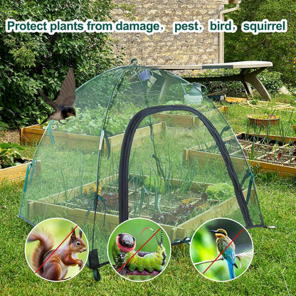2pack Pest Guard Cover,22.8x22.8x22.8 Inches Garden Mesh Plant Cover Insect Bird Barrier Netting Mesh Outdoor Mesh Plant Enclosure Plant Tent Cover Pest Protection Guard for Fruit Vegetables