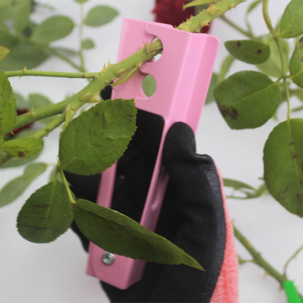 Flower Bouquet Accessories, Flower Scissors Rose Thorn Stripper Tool