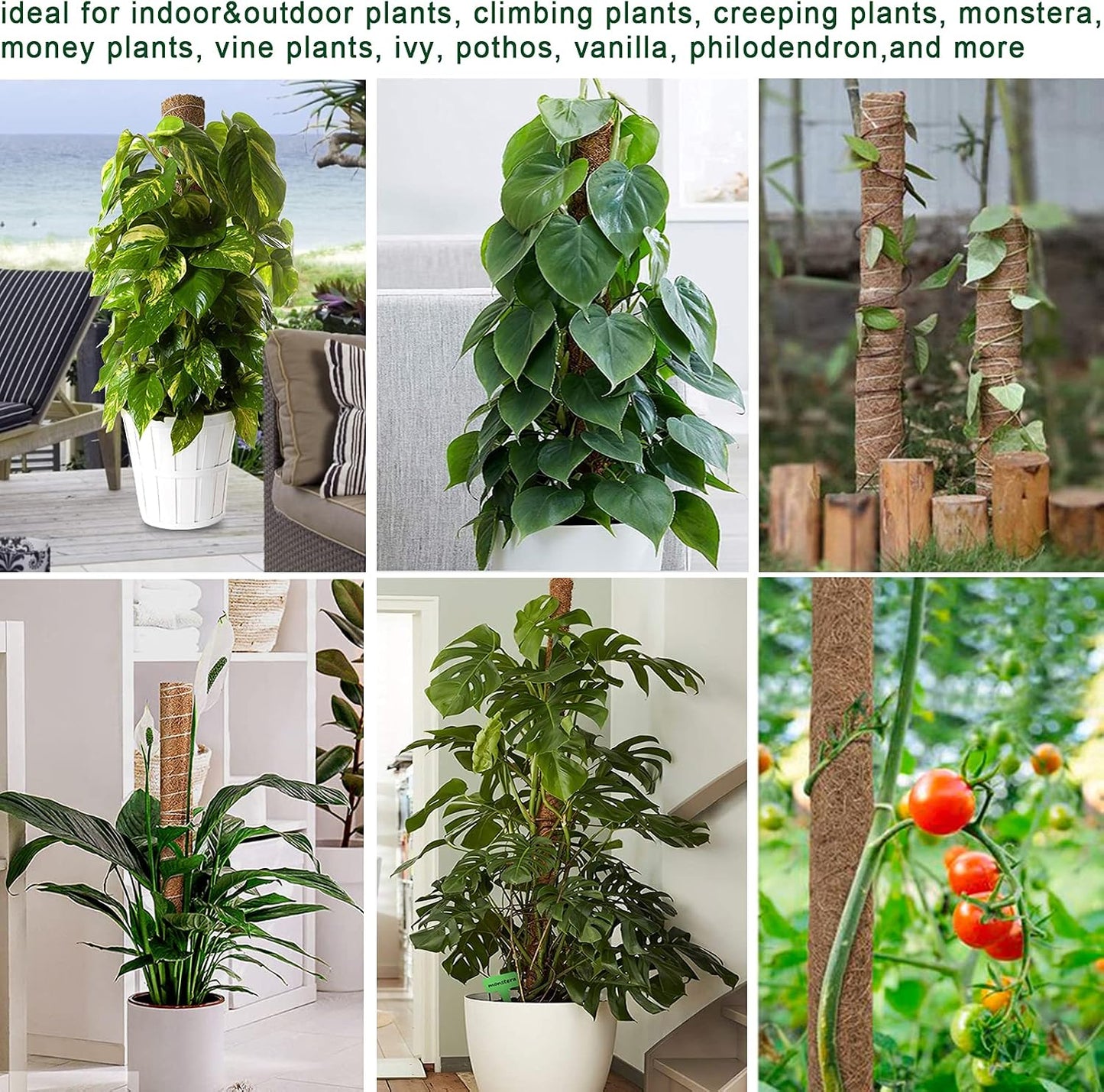 Moss Pole 47.5 Inch - Monstera Plant Support, 4 Packs 16 Inch Plant Stakes for Indoor Plants Coco Coir Moss Pole Sticks for Climbing Potted Live Plants, Pothos, Philodendron, with Garden Ties