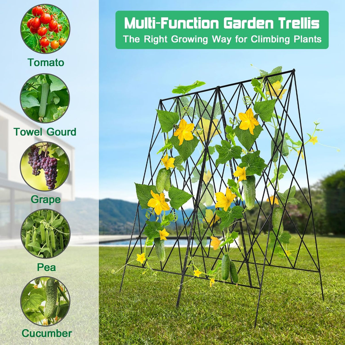 39.4" H 2 Pack Cucumber Trellis, Thickened Metal Garden Trellis
