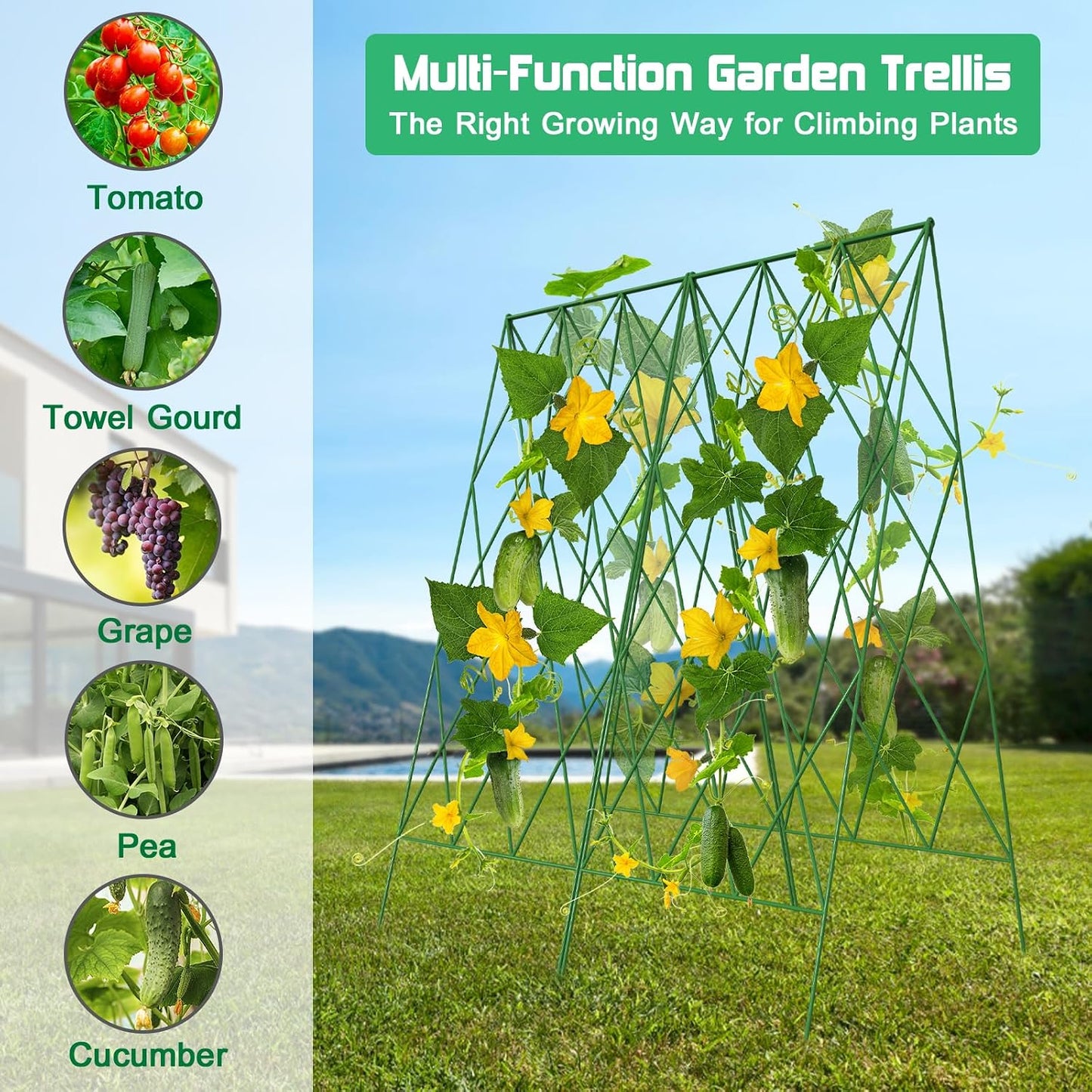39.4" H 2 Pack Cucumber Trellis, Thickened Metal Garden Trellis