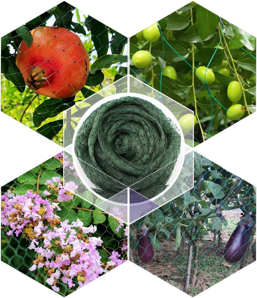 30x30ft Bird Netting, 1/2 inch Mesh, Heavy Duty Garden Netting