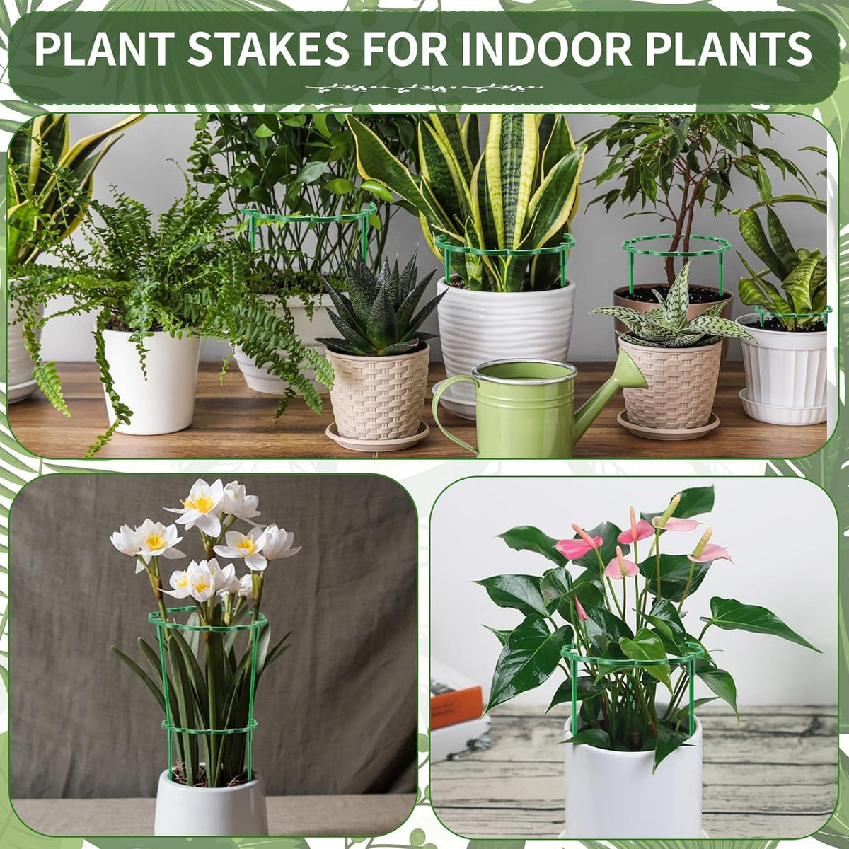 12 Pack Plant Support Stakes Sets - Versatile Plant Cages, Stackable Garden Flower Support， Small Plant Stakes for Indoor Plants,Tomato,Monstera, Peony, Hydrangea, Climbing Plants