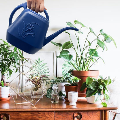 Plant Watering Can - Blue - 1/2 Gallon