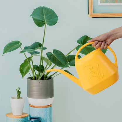 Plant Watering Can - Blue - 1/2 Gallon