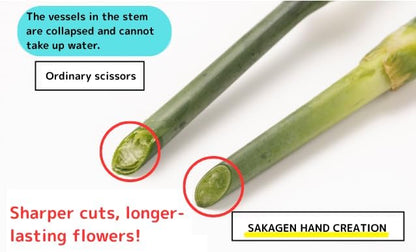 Japanese Floral Scissors - SAKAGEN Hand Creation, Professional Ultra Sharp Flower Shears for Floral Design, Ikebana & Gardening, Made in Japan, F-170 (Yellow)