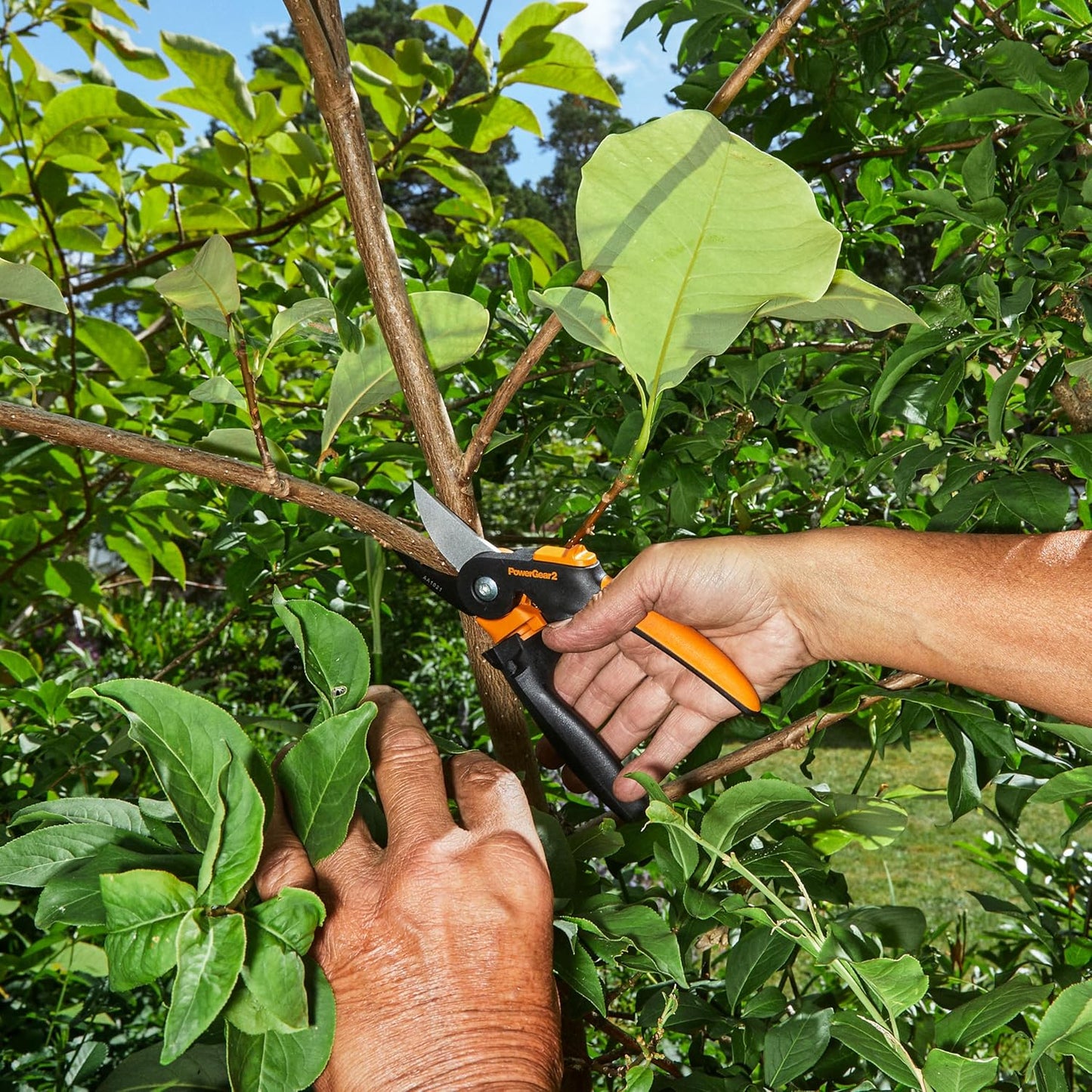 SoftGrip Bypass Pruning Shears, 5/8" Cut Capacity Garden Clippers