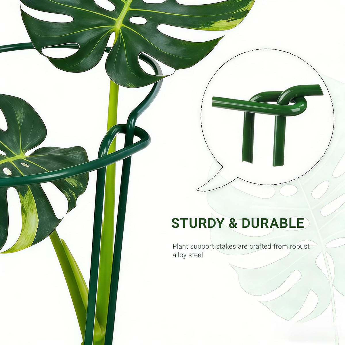 TUKIU 6 Pack 13 Inch Plant Stakes, Metal Peony Cages and Supports, Garden Stakes Plant Support Cage, Plant Support Ring Border for Peony Tomato,Hydrangea,Flower Indoor Outdoor (7.8" W x 13" H)