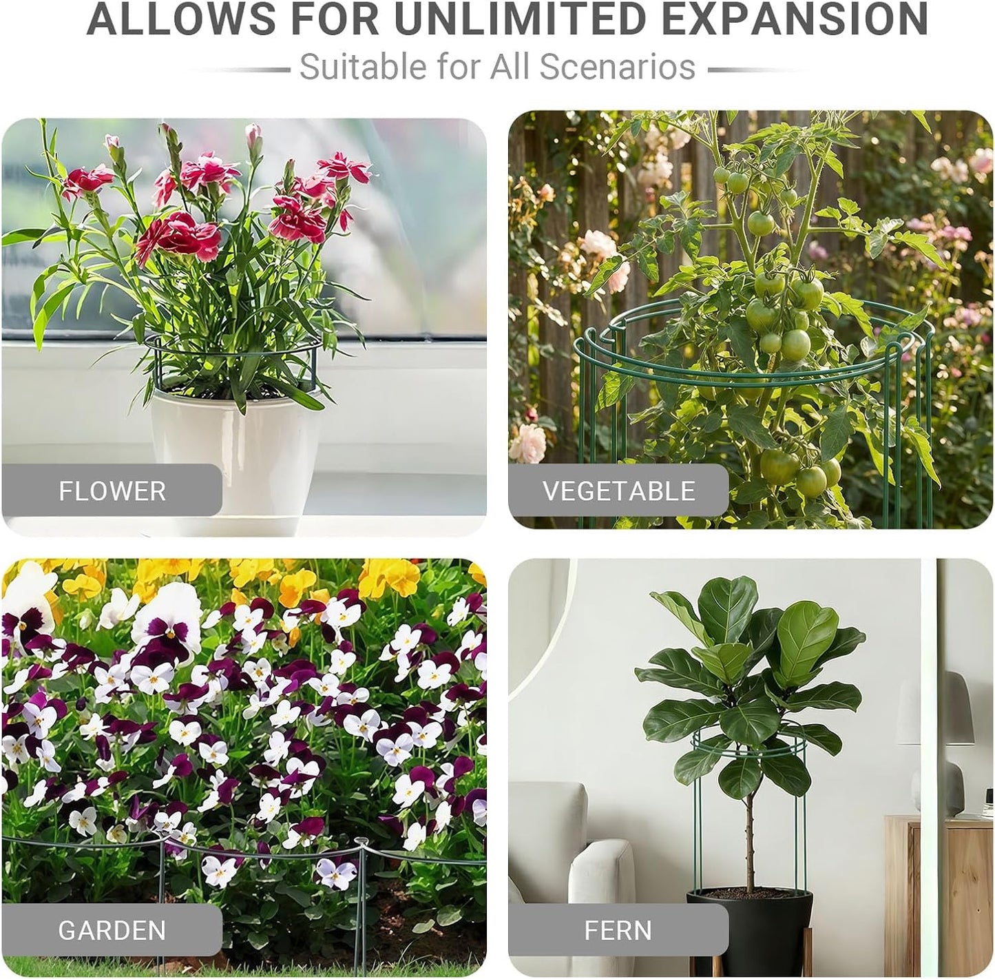 TUKIU 6 Pack 13 Inch Plant Stakes, Metal Peony Cages and Supports, Garden Stakes Plant Support Cage, Plant Support Ring Border for Peony Tomato,Hydrangea,Flower Indoor Outdoor (7.8" W x 13" H)