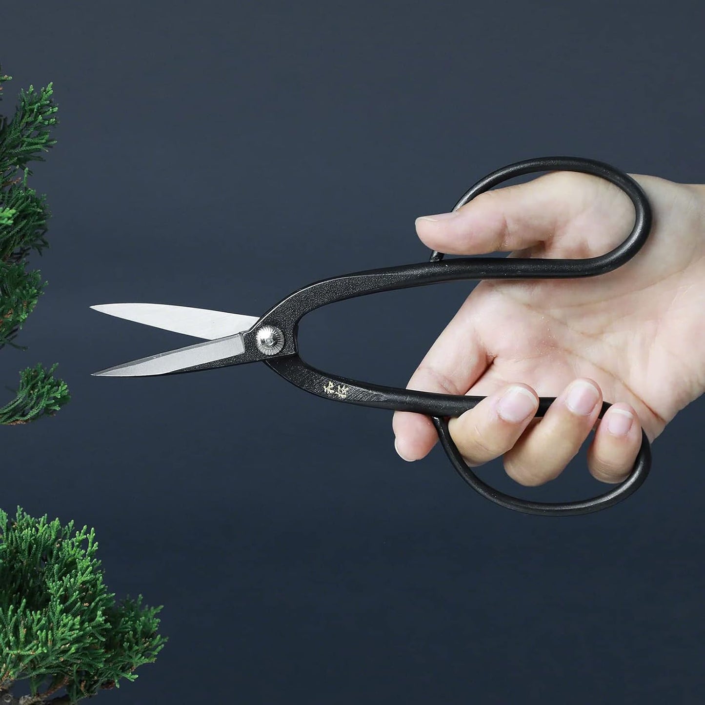 Wazakura Yasugi Steel Series Satsuki Bonsai Trimming Scissors, Made in Japan 7inch (180mm), Japanese Garden Snip Tools, Bonsai Tree Branch Leaf Pruning Shears - Yasugi Steel Satsuki Scissors