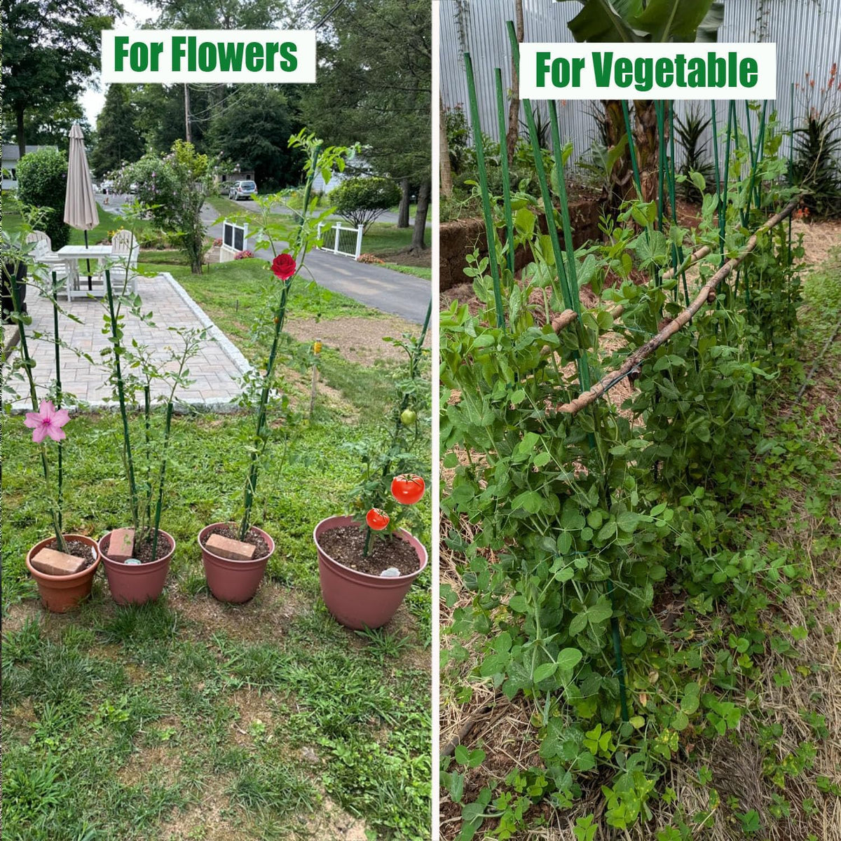 Garden Stakes Kit: 15Sets Fiberglass Plant Sticks Supports & Accessories for DIY 4ft, 5ft, 6ft, 7ft Stakes for Tomato, Vegetables, Indoor & Outdoor Gardening Supplies (15)