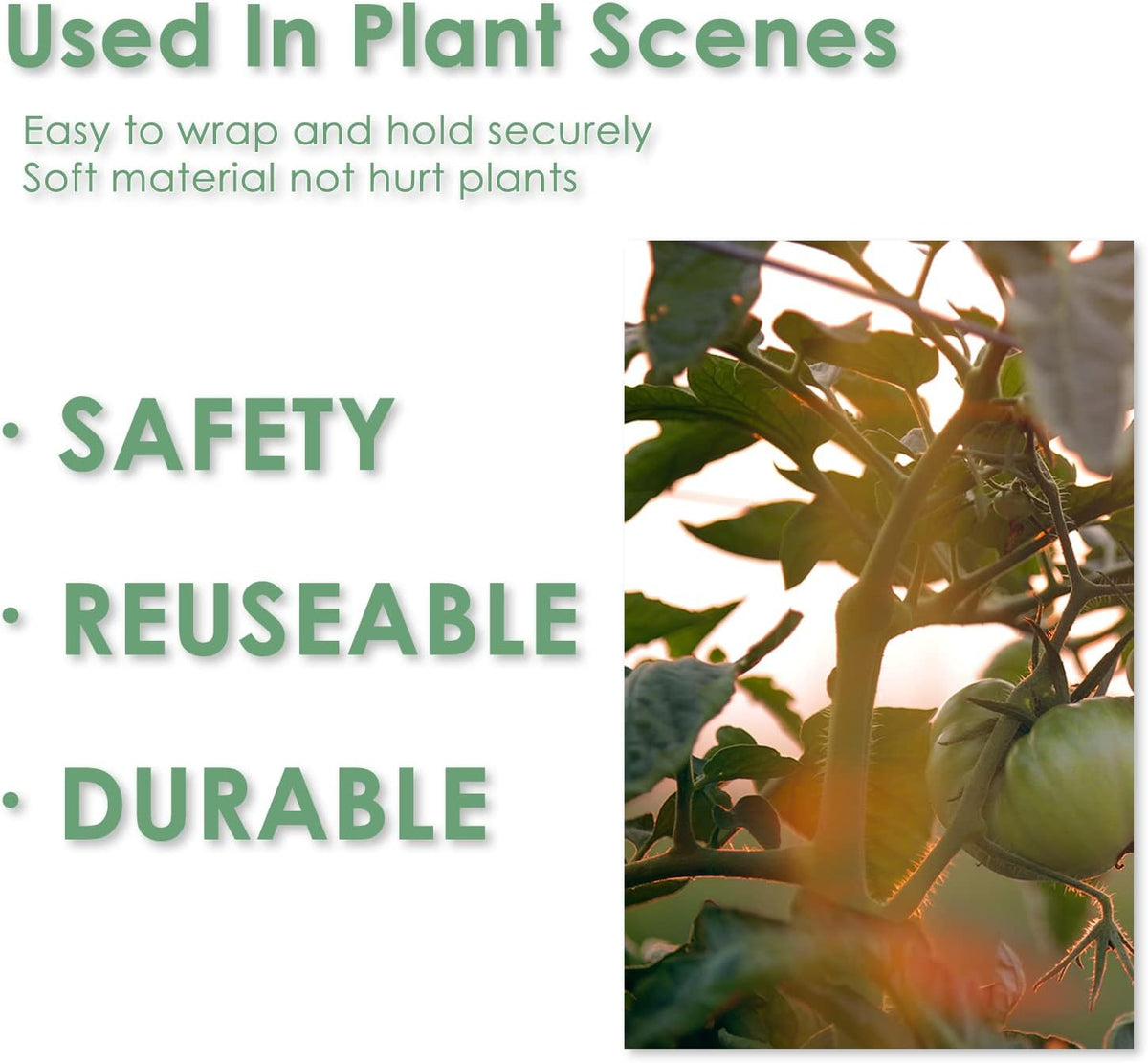 Garden Tie Green Tape, Plant Supports, Gentle On Plants (32.8ft × 0.6 inch, 1 roll, Green)