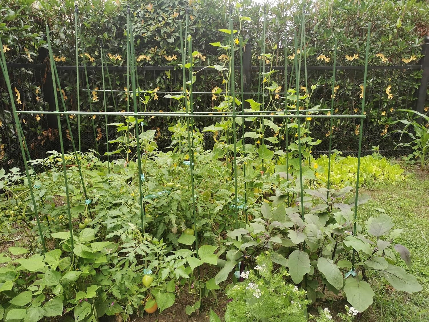 Garden Stakes 6 ft Plastic Coated Steel Tube Sturdy Metal Plant Sticks for Tomato,Cucumber,Bean,Tree,Pack of 25