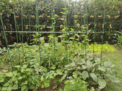 Garden Stakes 6 ft Plastic Coated Steel Tube Sturdy Metal Plant Sticks for Tomato,Cucumber,Bean,Tree,Pack of 25