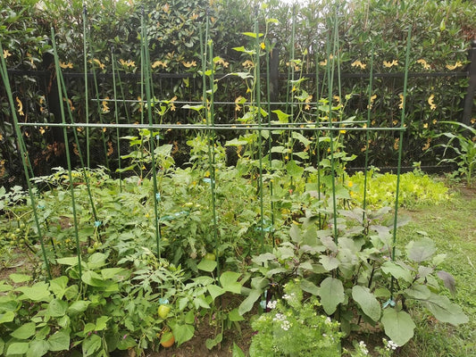 Garden Stakes 6 ft Plastic Coated Steel Tube Sturdy Metal Plant Sticks for Tomato,Cucumber,Bean,Tree,Pack of 25