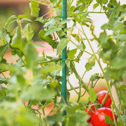 Garden Stakes 6 ft Plastic Coated Steel Tube Sturdy Metal Plant Sticks for Tomato,Cucumber,Bean,Tree,Pack of 25