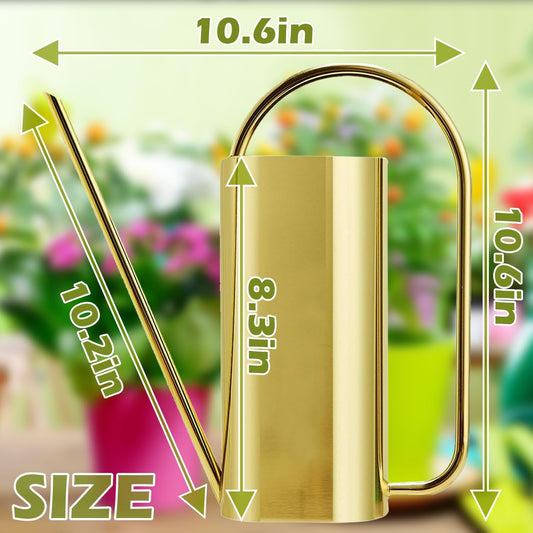 Watering Can Outdoor, 50 oz/1.5L Watering Can with Long Spout and Handle, Stainless Steel Garden Watering Pot for Outdoor and Indoor Plants