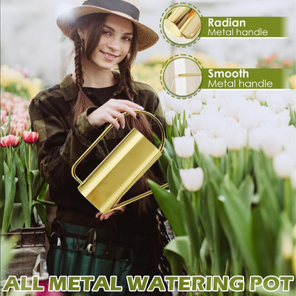 Watering Can Outdoor, 50 oz/1.5L Watering Can with Long Spout and Handle, Stainless Steel Garden Watering Pot for Outdoor and Indoor Plants