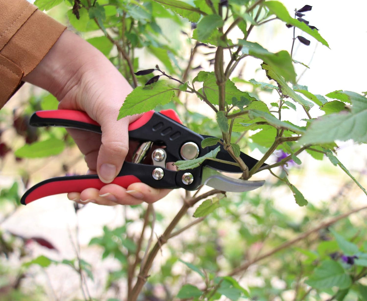 S821A Bypass Pruning Shears for Small to Medium Hands, Chrome Plated Blades with 3/4 Inch Cut Capacity, Professional Hand Pruner, Garden Secateurs & Clippers with Safety Lock