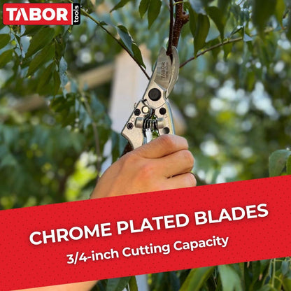 S821A Bypass Pruning Shears for Small to Medium Hands, Chrome Plated Blades with 3/4 Inch Cut Capacity, Professional Hand Pruner, Garden Secateurs & Clippers with Safety Lock