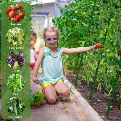 32 x 53 Inch Cucumber Trellis for Climbing Plants Outdoor A-Frame Garden Trellis for Raised Bed Detachable Sturdy Garden Plant Support Trellis for Small Plant Vegetable Flower Grape with Climbing Net
