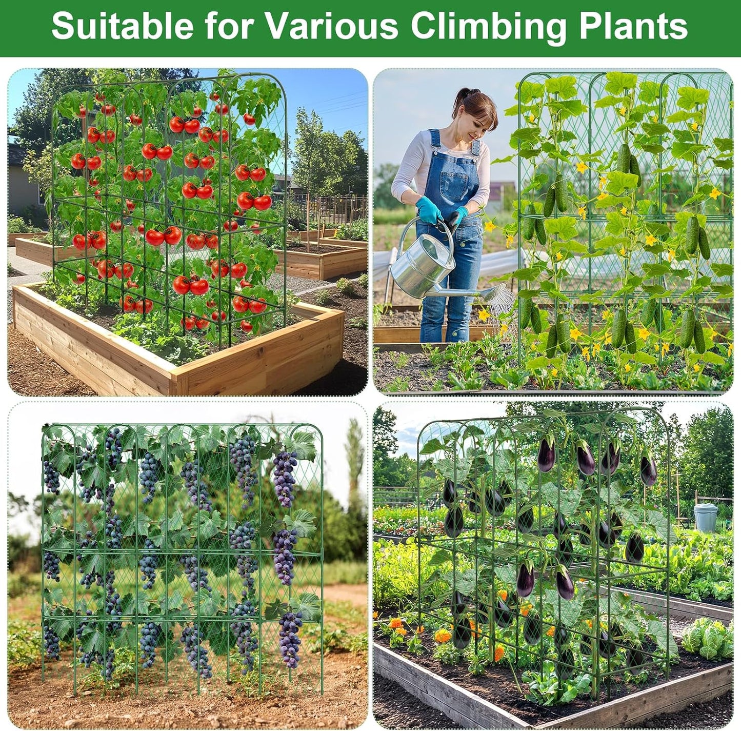 32 x 53 Inch Cucumber Trellis for Climbing Plants Outdoor A-Frame Garden Trellis for Raised Bed Detachable Sturdy Garden Plant Support Trellis for Small Plant Vegetable Flower Grape with Climbing Net