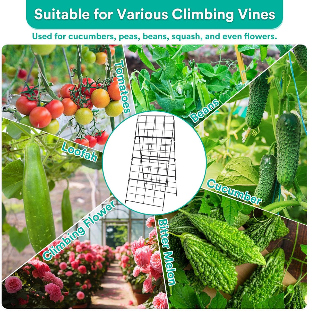 32 x 53 Inch Cucumber Trellis for Climbing Plants Outdoor A-Frame Garden Trellis for Raised Bed Detachable Sturdy Garden Plant Support Trellis for Small Plant Vegetable Flower Grape with Climbing Net