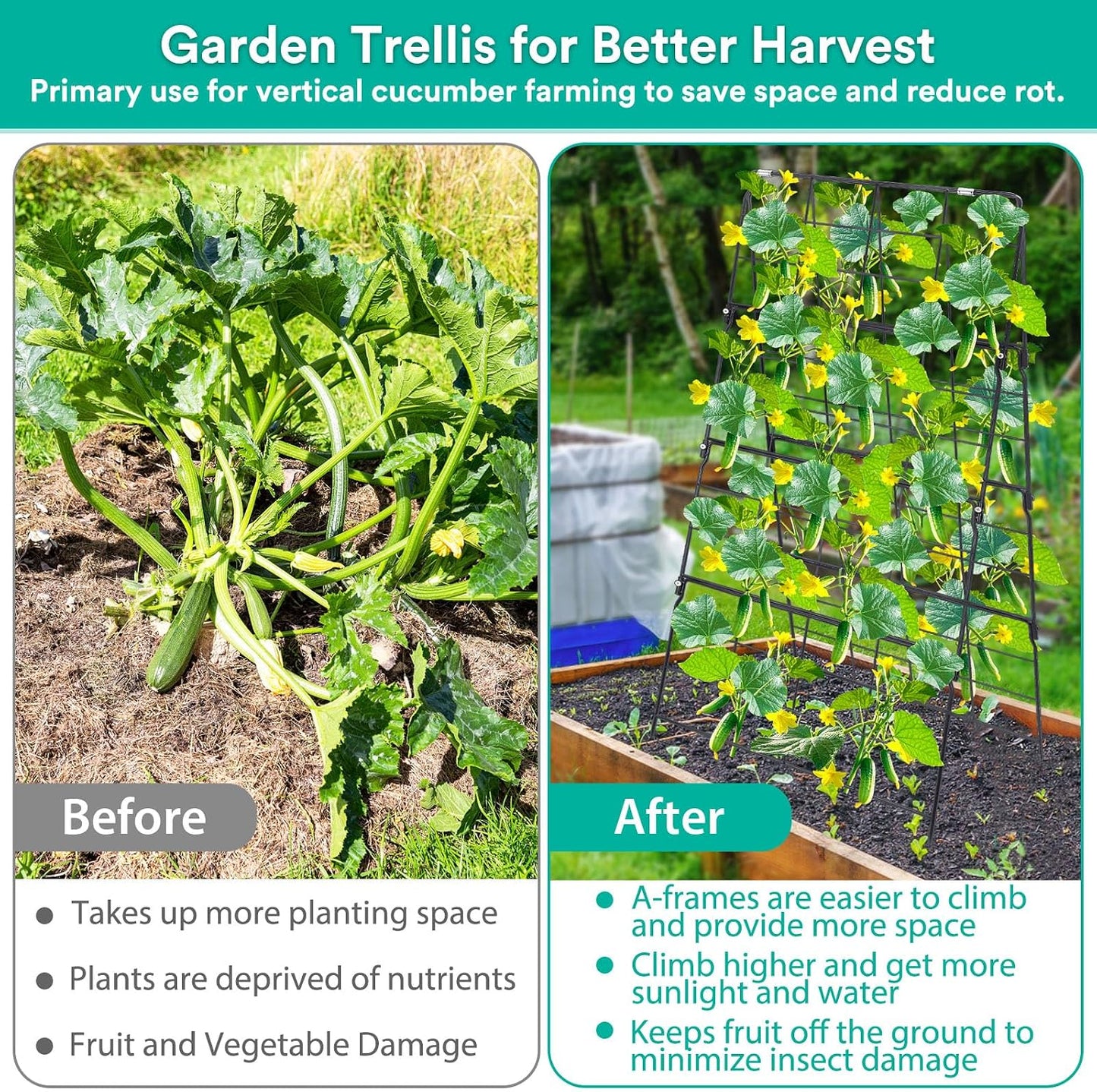 32 x 53 Inch Cucumber Trellis for Climbing Plants Outdoor A-Frame Garden Trellis for Raised Bed Detachable Sturdy Garden Plant Support Trellis for Small Plant Vegetable Flower Grape with Climbing Net
