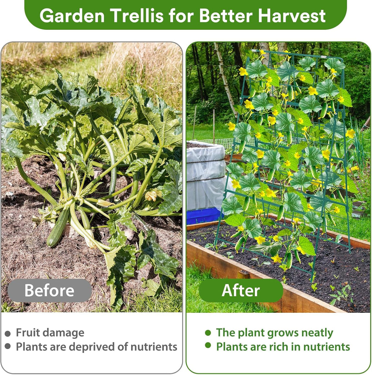 32 x 53 Inch Cucumber Trellis for Climbing Plants Outdoor A-Frame Garden Trellis for Raised Bed Detachable Sturdy Garden Plant Support Trellis for Small Plant Vegetable Flower Grape with Climbing Net