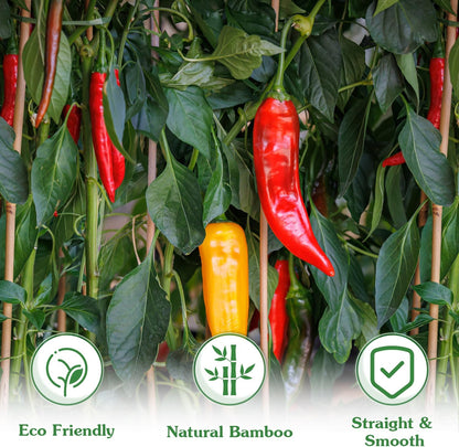 Plant Stakes, 4.8 FT Natural Bamboo Stakes Plant Support Stakes - 25Pcs