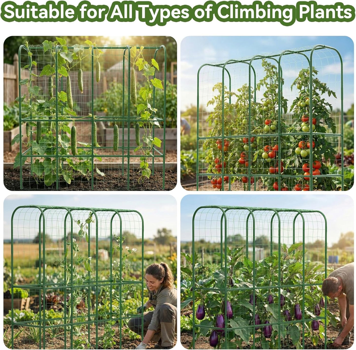 62" Tall Cucumber Trellis for Raised Bed, Garden Trellis for Climbing Plants Outdoor, U-Shape Metal Arch Vegetables Trellis Plant Support for Zucchini Squash Vines