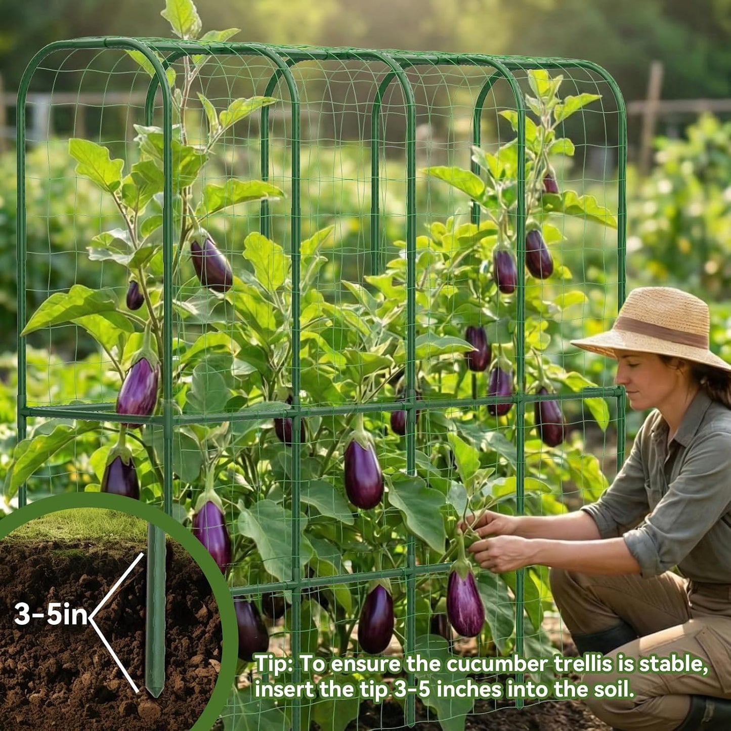 62" Tall Cucumber Trellis for Raised Bed, Garden Trellis for Climbing Plants Outdoor, U-Shape Metal Arch Vegetables Trellis Plant Support for Zucchini Squash Vines