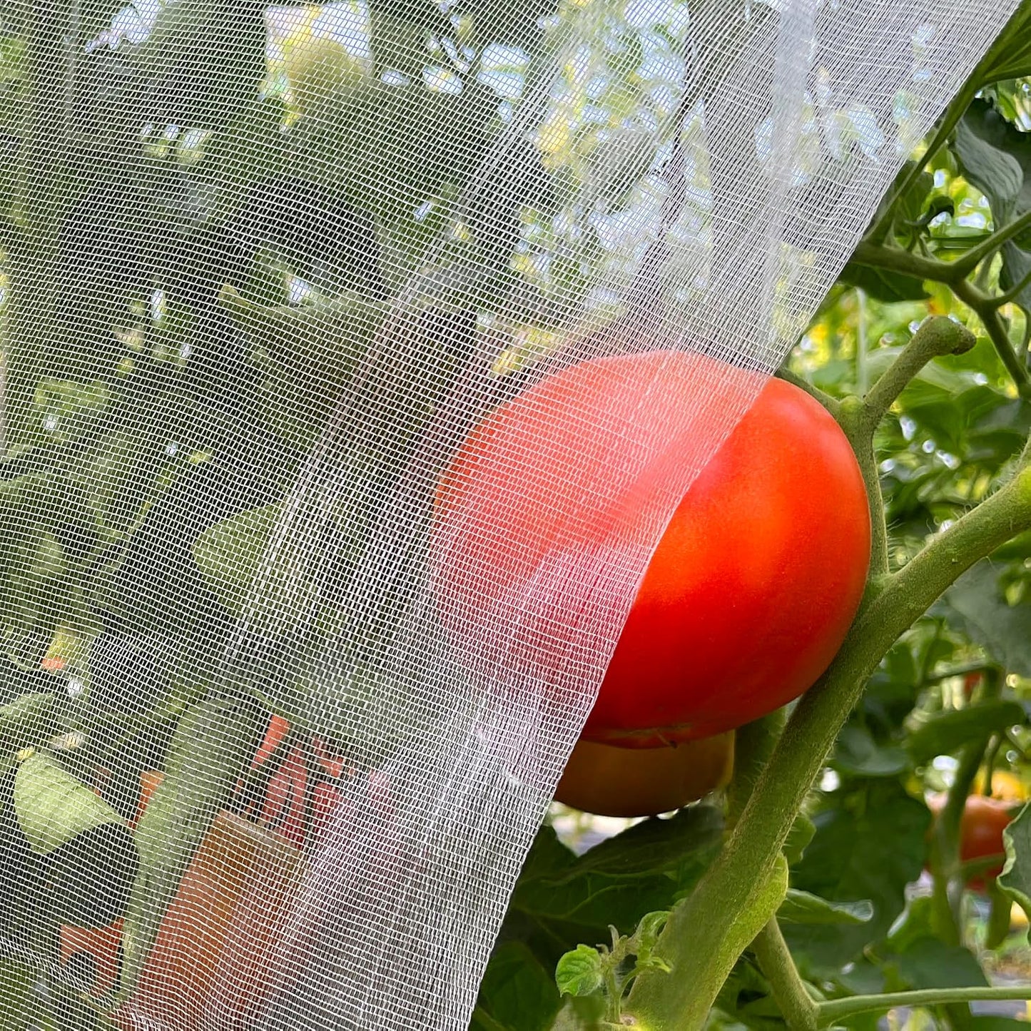 Garden Netting 10x33ft - Ultra Fine Mesh Insect Bug Screen Barrier