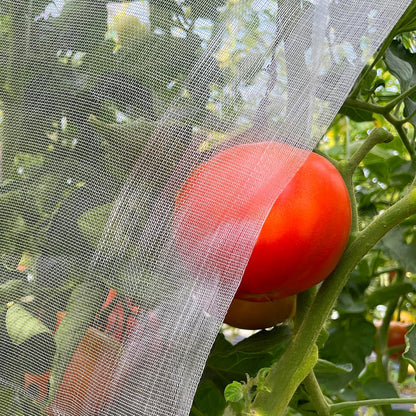 Garden Netting 10x33ft - Ultra Fine Mesh Insect Bug Screen Barrier