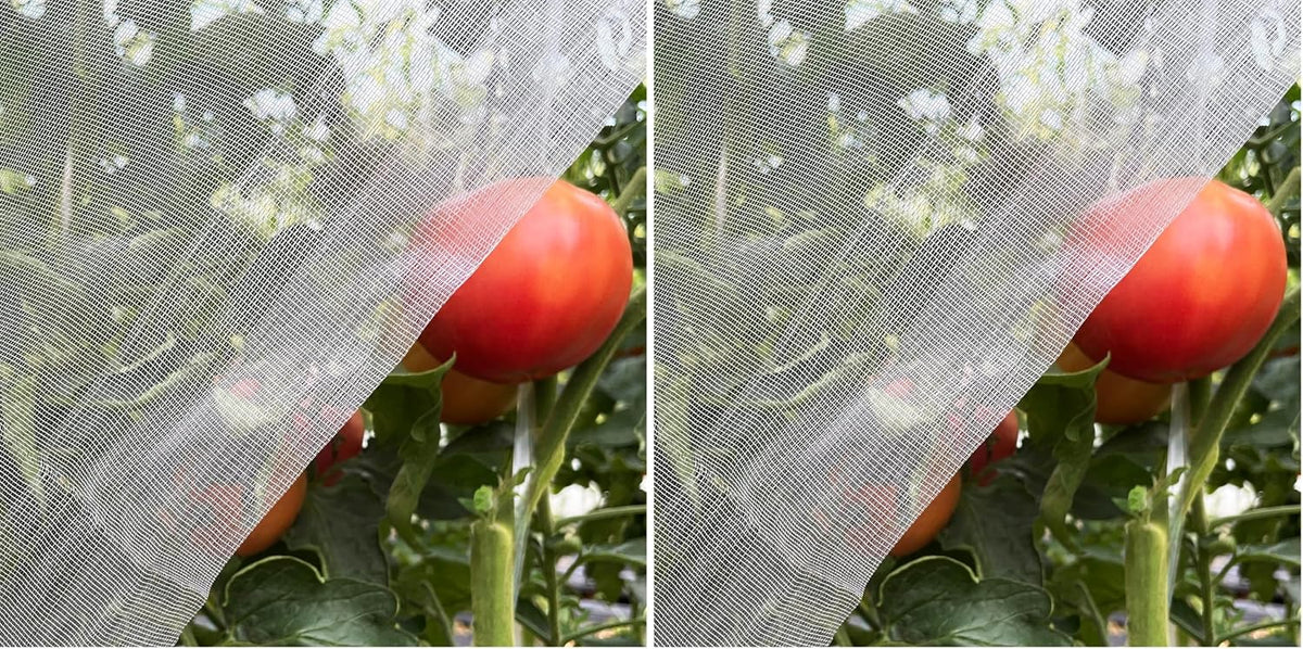 Garden Netting 10x33ft - Ultra Fine Mesh Insect Bug Screen Barrier