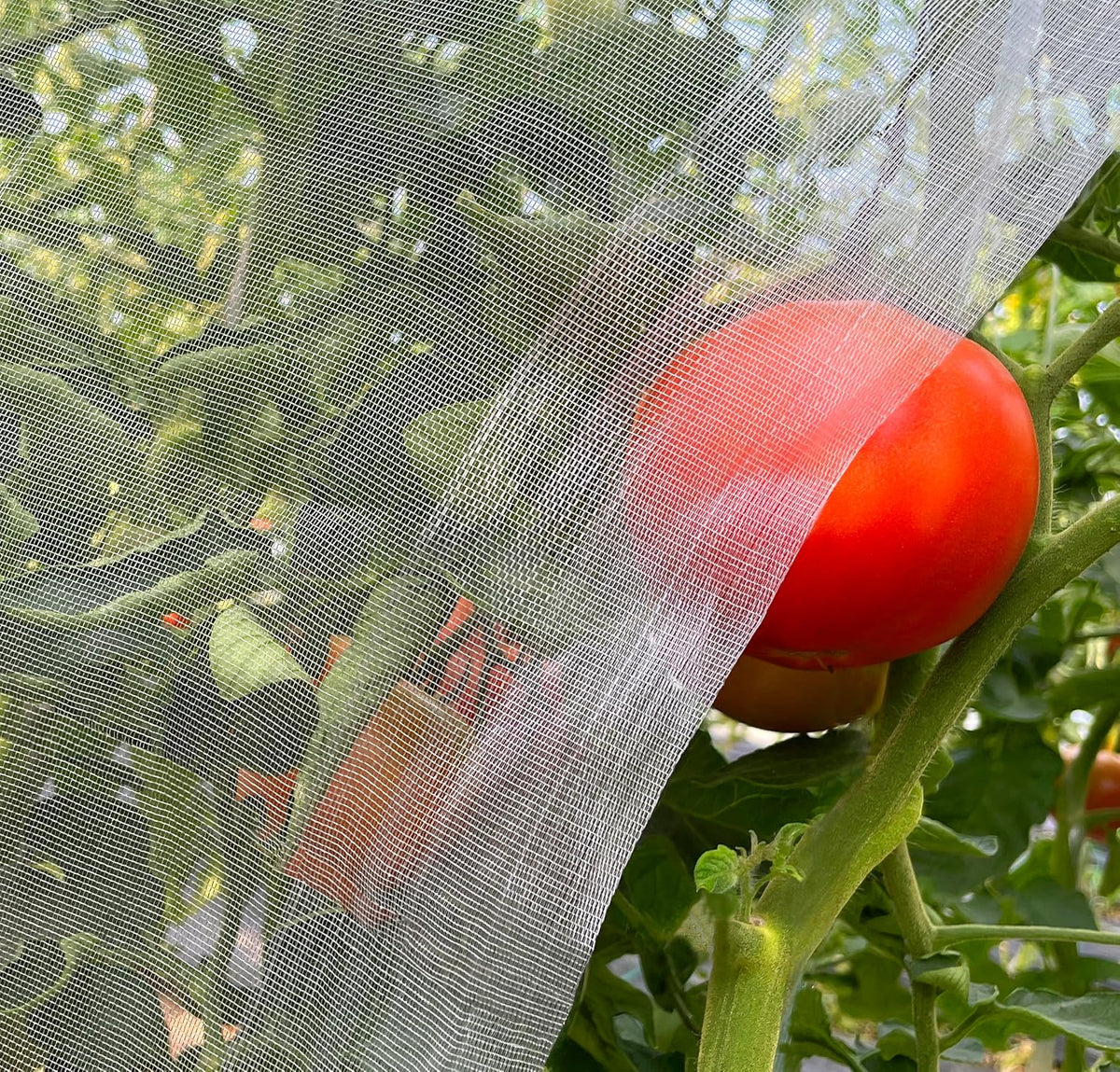 Garden Netting 10x33ft - Ultra Fine Mesh Insect Bug Screen Barrier