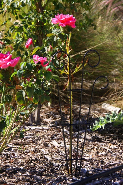 2 Pack Black Coated Wave Pot Trellis 23'' Stakes for Climbing Plants Patio Plant Support for Outdoor,Rose, Vegetable Flower, Backyard