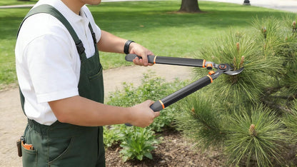 Anvil Loppers for Tree Trimmer Heavy Duty, 26-39'' Tree Branch Cutter